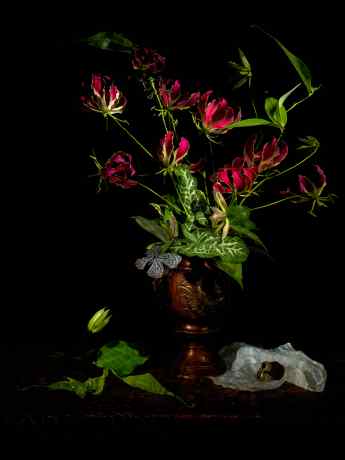Подводный натюрморт "Утренняя глориоза." Из серии "Vanitas."