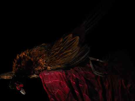 Подводный натюрморт "Процветание." Из серии "Vanitas."