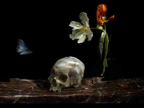 Подводный натюрморт с черепом. Из серии "Vanitas."