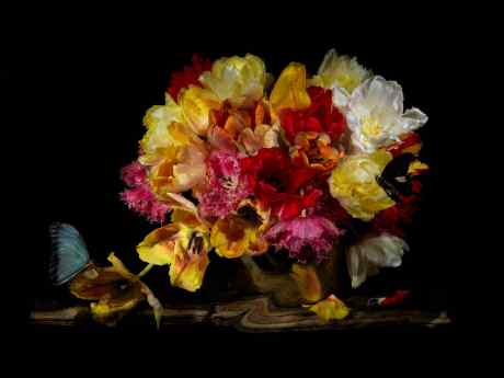 Подводный натюрморт с тюльпанами. Из серии "Vanitas."
