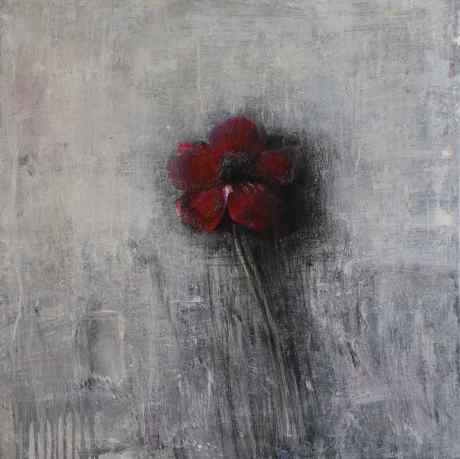 Red buttercup 3