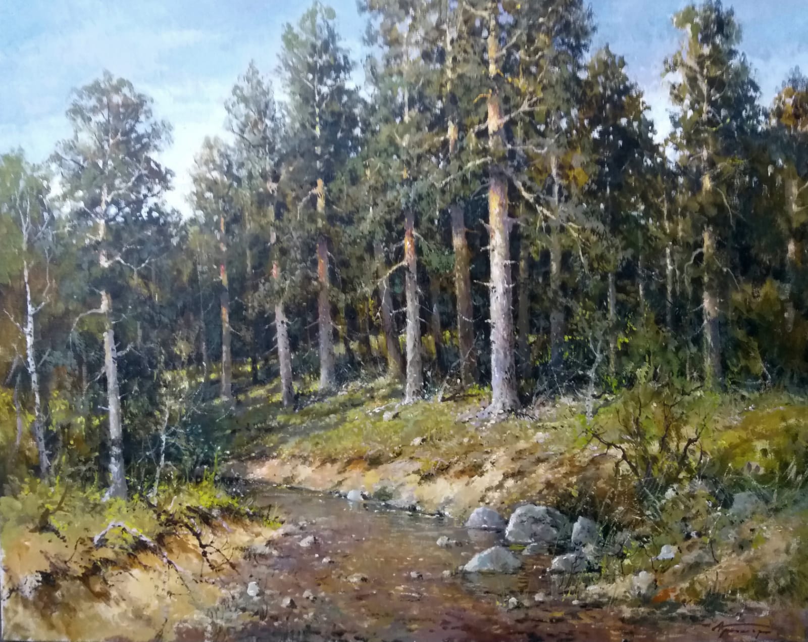 Сосны - 1, Александр Кремер, Купить картину Масло