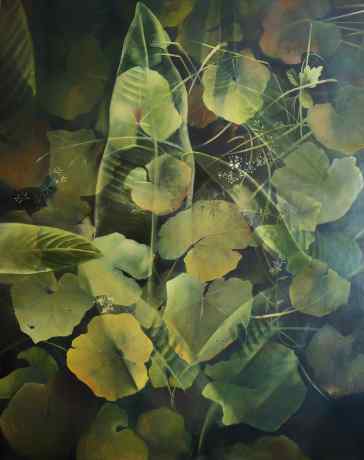 Мать-и-мачеха