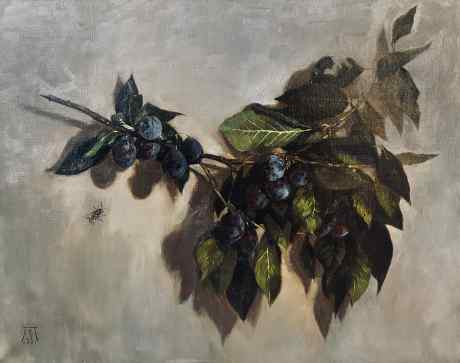 Ветка сливы