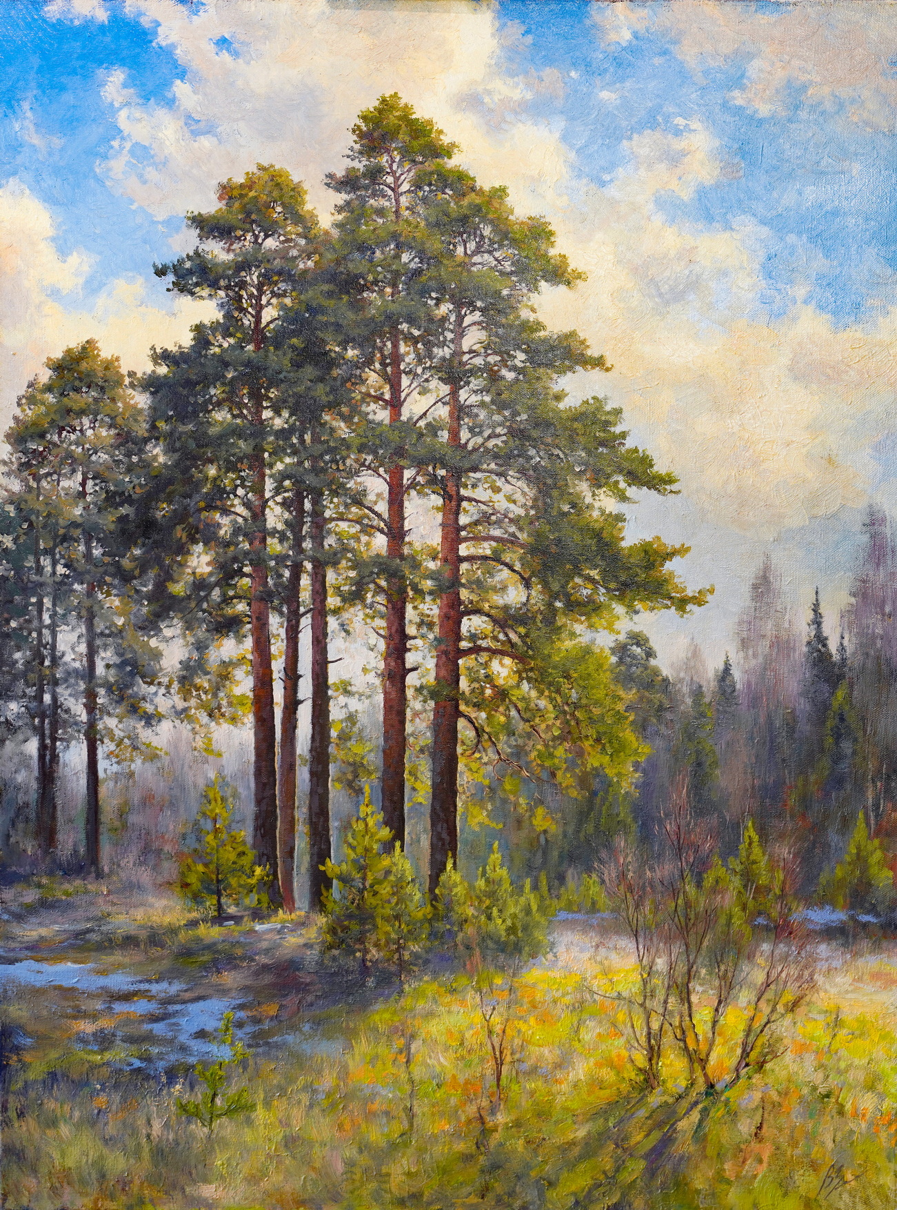 Сосны - 1, Вадим Зайнуллин , Купить картину Масло