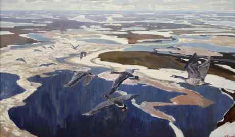 Весна в полярной тундре. Гуси летят