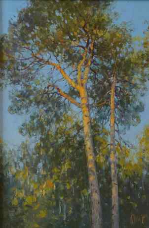 Освещенные солнцем