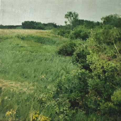 Край луга