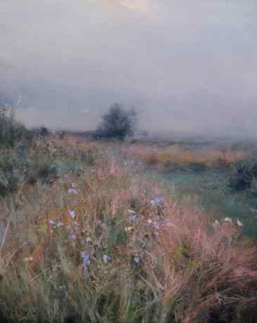 Сумерки